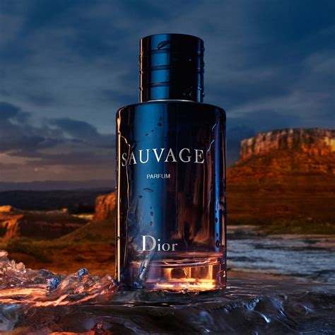 the nature-inspired dior sauvage|dior sauvage parfum 100ml price.